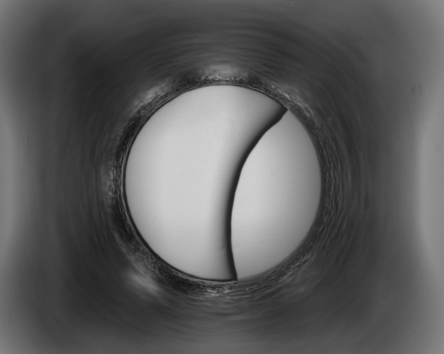 X0000084520591200703021357