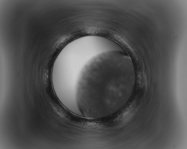 X0000084520592200703021357