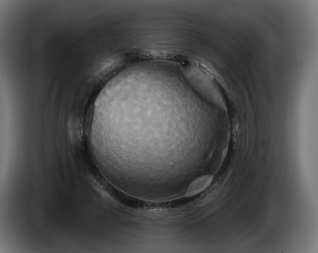 X0000084520593200703021357