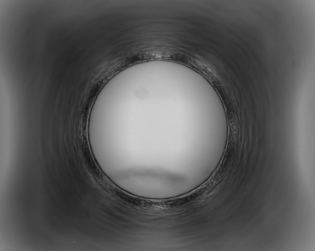 X0000084520594200703021357