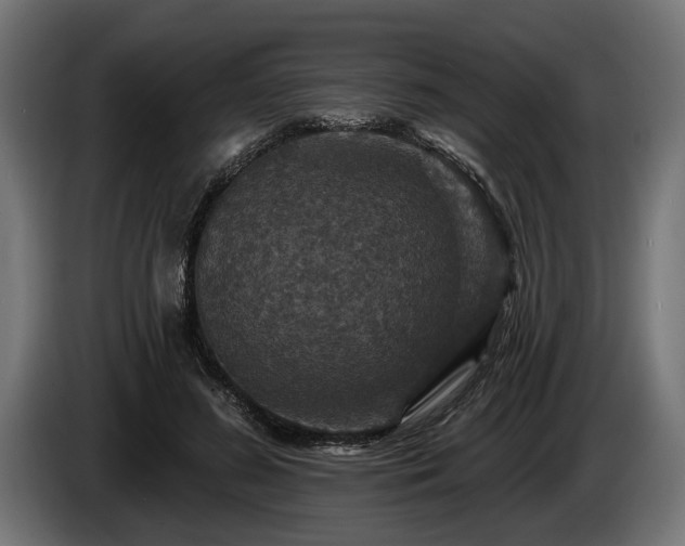 X0000084520596200703021357