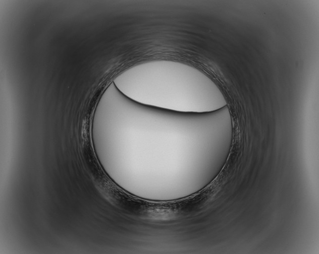 X0000084520598200703021357