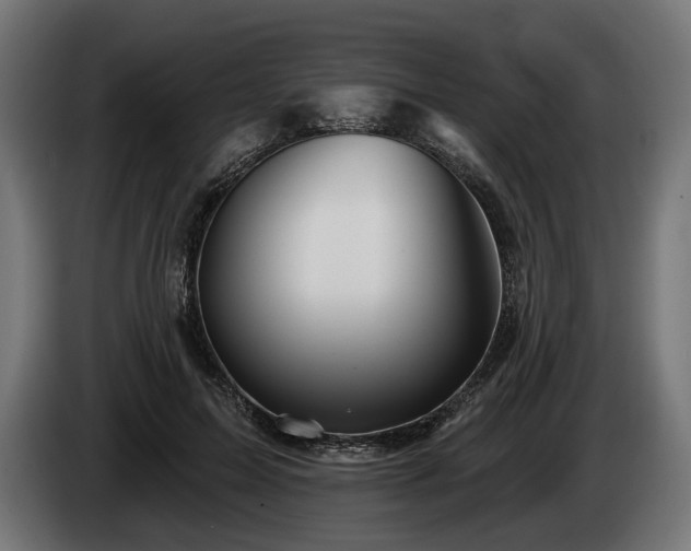 X0000084520599200703021357