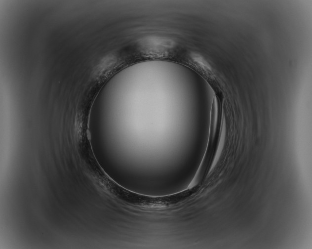 X0000084520600200703021357