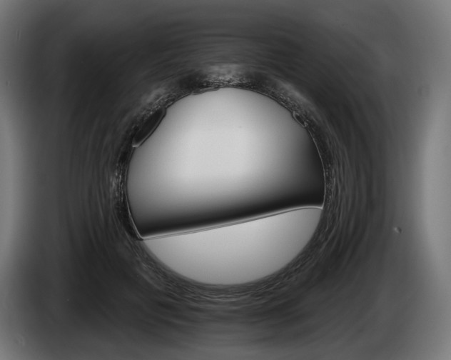 X0000084520601200703021357