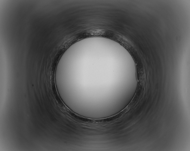 X0000084520604200703021357