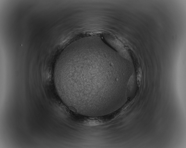 X0000084520608200703021357