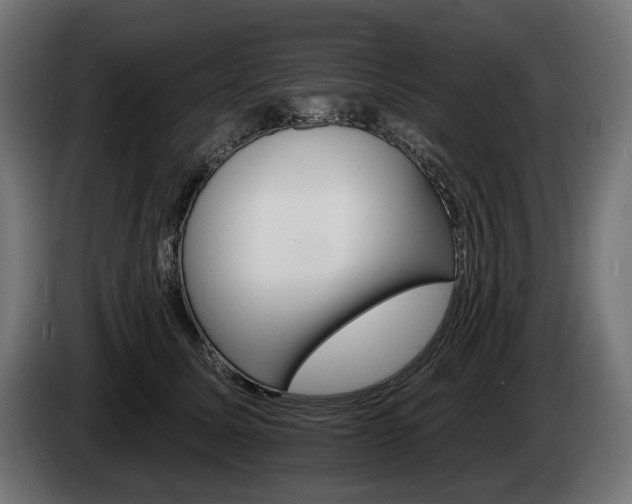 X0000084520611200703021357