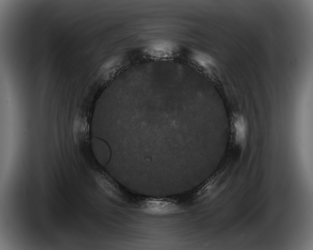 X0000084520614200703021357