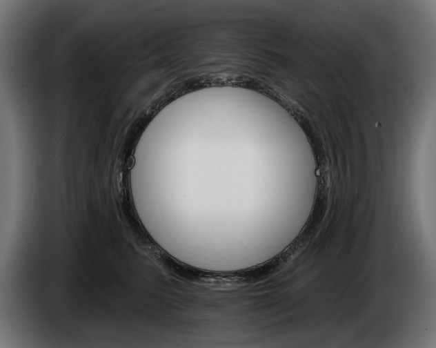 X0000084520615200703021357