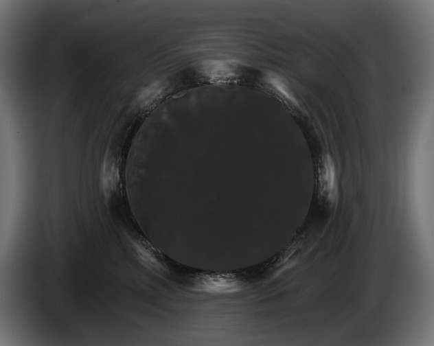 X0000084520618200703021357