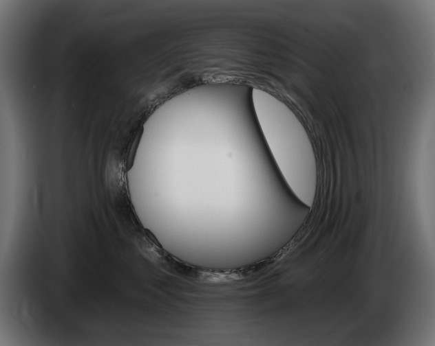 X0000084520621200703021357