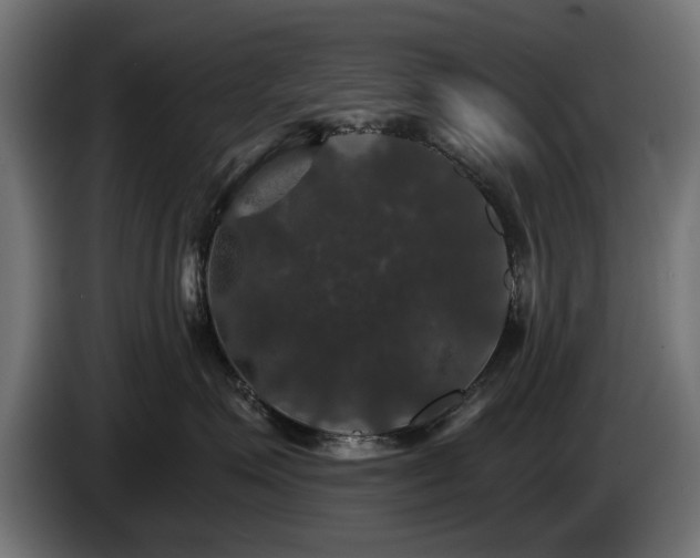 X0000084520623200703021357