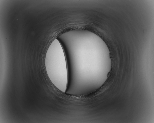 X0000084520624200703021357