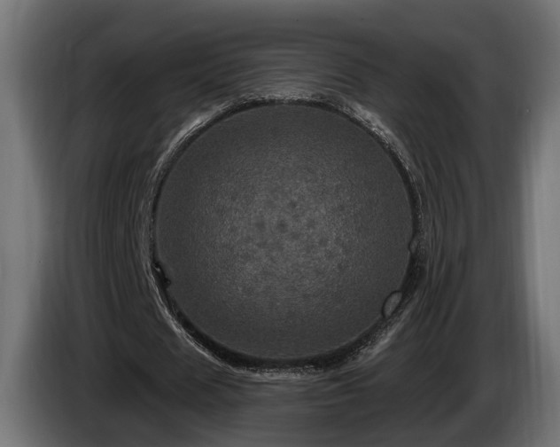 X0000084520625200703021356