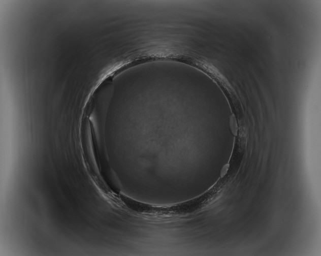 X0000084520626200703021356