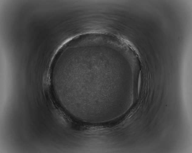 X0000084520628200703021356