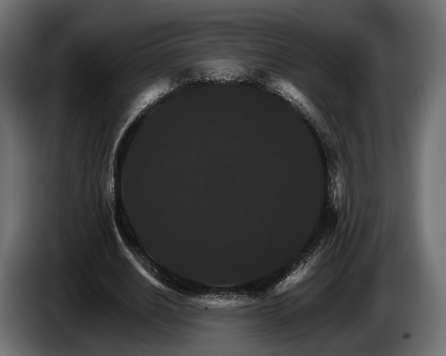 X0000084520630200703021356