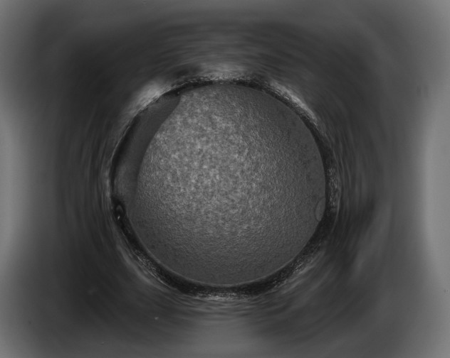 X0000084520631200703021356