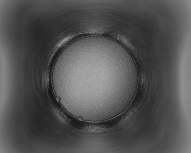 X0000084520632200703021356