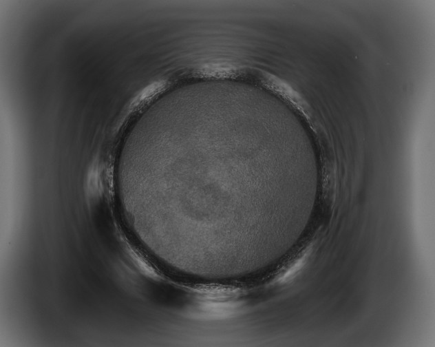 X0000084520633200703021356