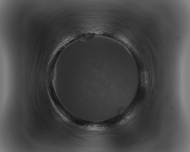 X0000084520634200703021356