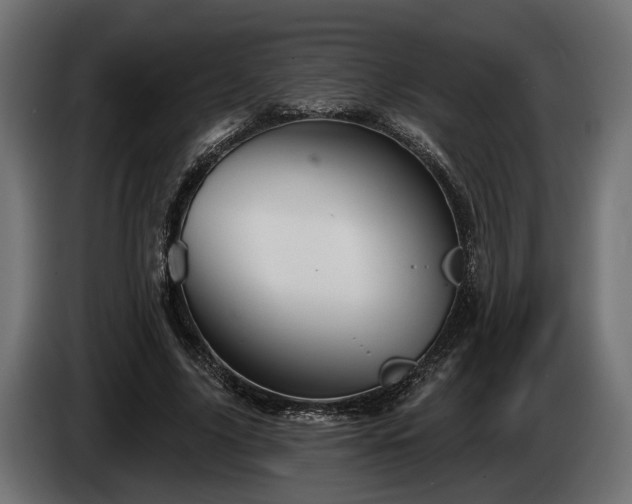 X0000084520635200703021356