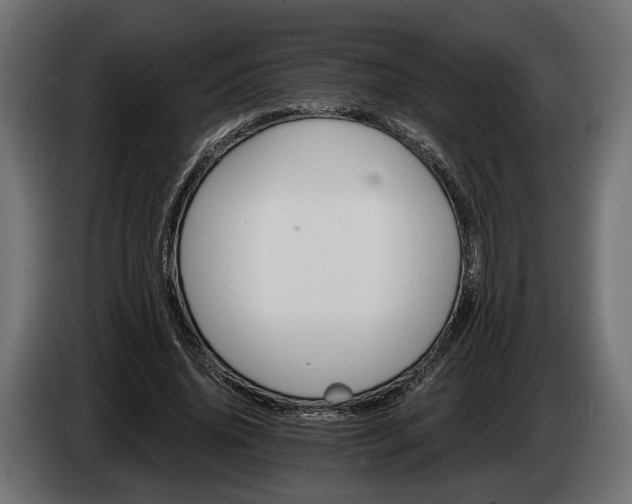 X0000084520636200703021356