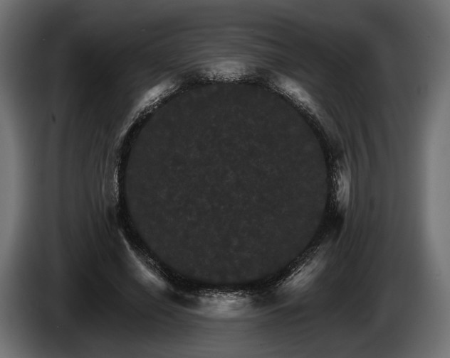 X0000084520638200703021356