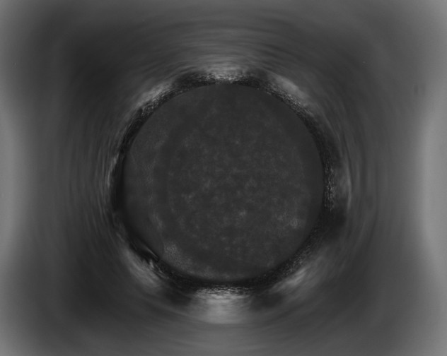 X0000084520639200703021356