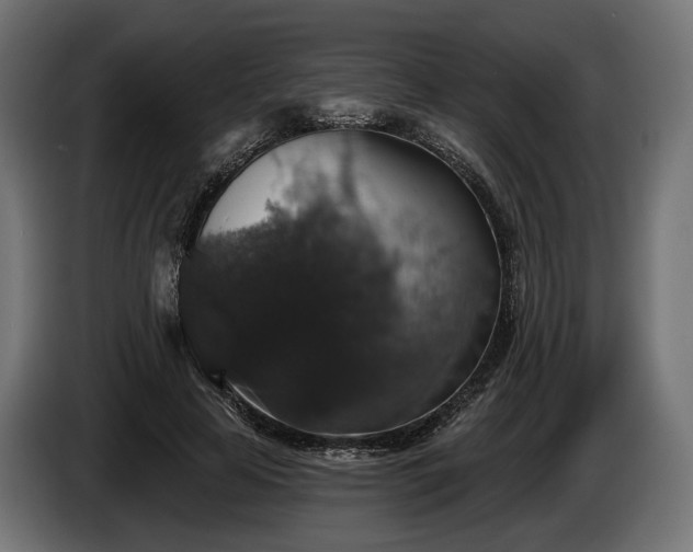 X0000084520641200703021356