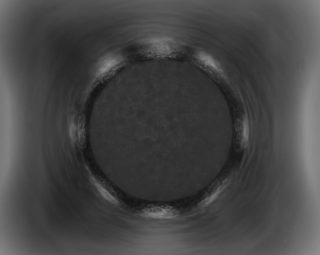 X0000084520642200703021356