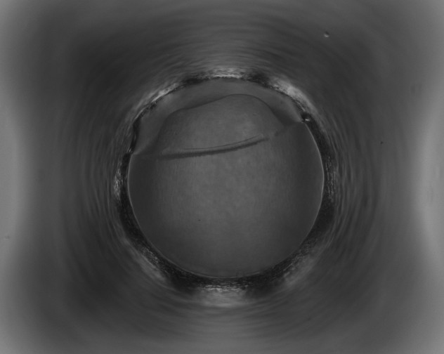 X0000084520644200703021356