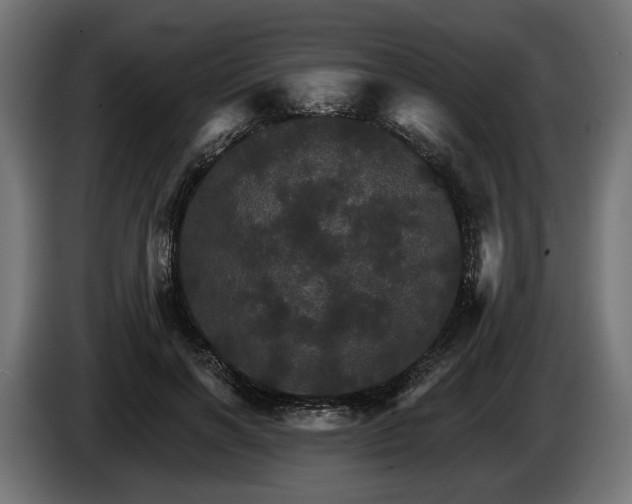 X0000084520646200703021356