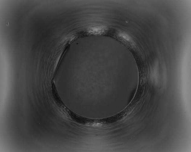 X0000084520647200703021356