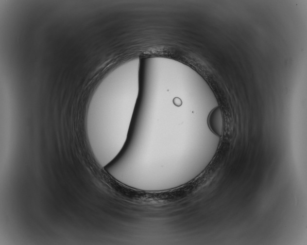 X0000084520648200703021356