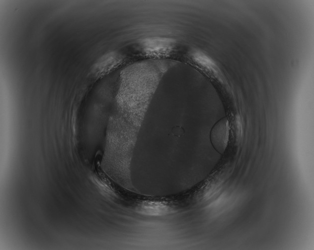 X0000084520649200703021356