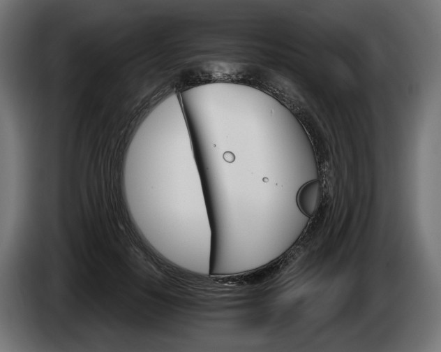 X0000084520650200703021356