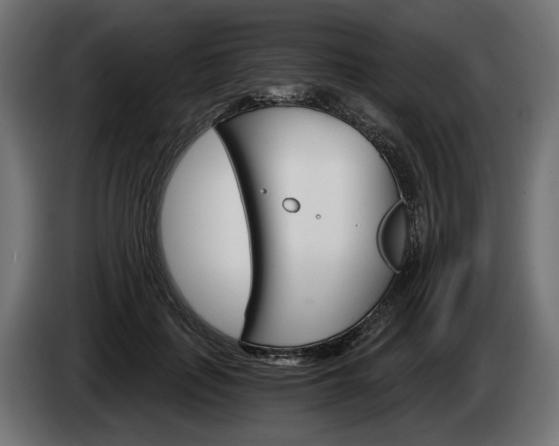 X0000084520651200703021356