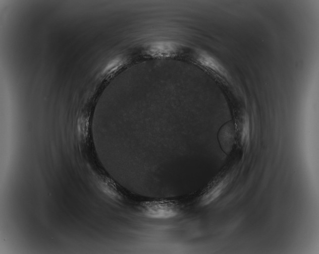 X0000084520652200703021356