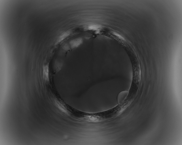 X0000084520654200703021356