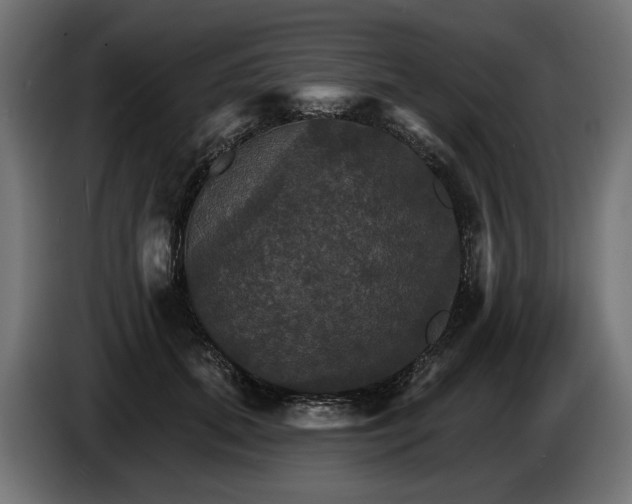 X0000084520655200703021357