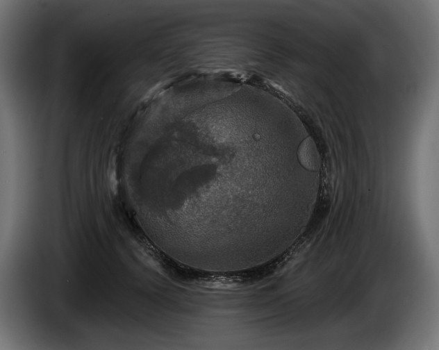 X0000084520656200703021357