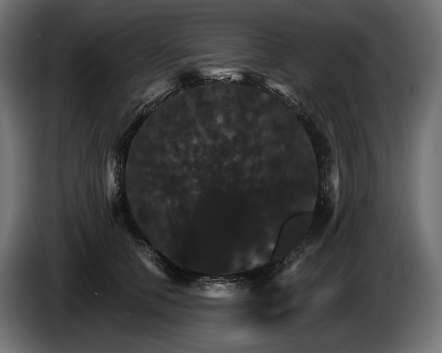 X0000084520658200703021357