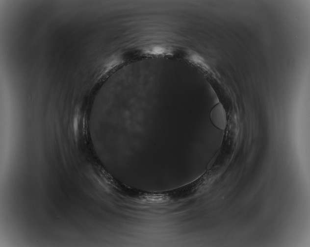 X0000084520659200703021357