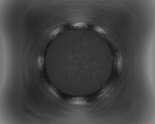 X0000084520660200703021357