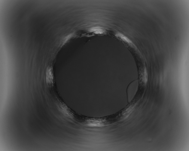 X0000084520661200703021357