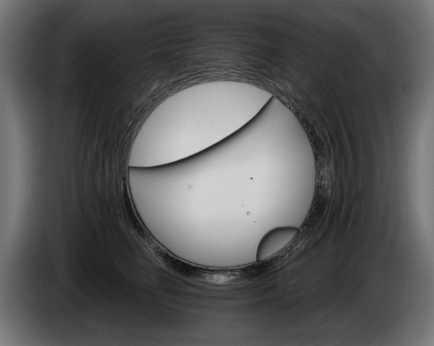 X0000084520662200703021357