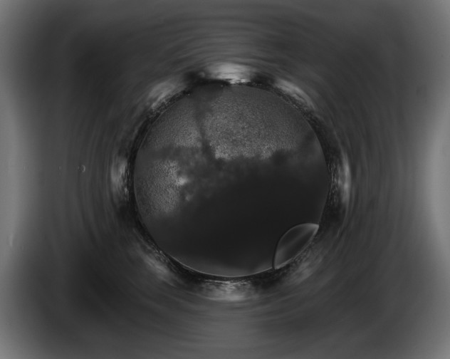 X0000084520663200703021357