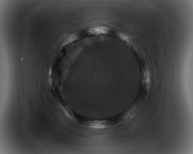 X0000084520664200703021357